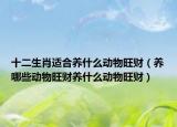 十二生肖适合养什么动物旺财（养哪些动物旺财养什么动物旺财）