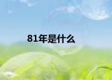 81年是什么