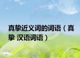 真挚近义词的词语（真挚 汉语词语）