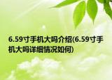6.59寸手机大吗介绍(6.59寸手机大吗详细情况如何)