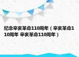 纪念辛亥革命110周年（辛亥革命110周年 辛亥革命110周年）
