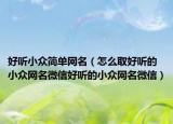 好听小众简单网名（怎么取好听的小众网名微信好听的小众网名微信）