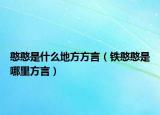 憨憨是什么地方方言（铁憨憨是哪里方言）