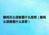 雎鸠怎么读音是什么意思（雎鸠么读音是什么意思）