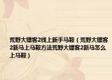 荒野大镖客2线上新手马鞍（荒野大镖客2新马上马鞍方法荒野大镖客2新马怎么上马鞍）