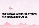 费用报销单表格模板介绍(费用报销单表格模板详细情况如何)