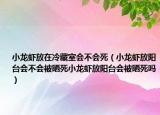 小龙虾放在冷藏室会不会死（小龙虾放阳台会不会被晒死小龙虾放阳台会被晒死吗）