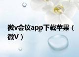 微v会议app下载苹果（微V）