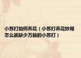 小苏打如何养花（小苏打养花妙用 怎么能缺少万能的小苏打）