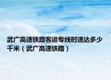 武广高速铁路客运专线时速达多少千米（武广高速铁路）