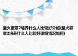 圣火徽章2培养什么人比较好介绍(圣火徽章2培养什么人比较好详细情况如何)