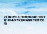 8岁到14岁小孩子玩的电脑游戏介绍(8岁到14岁小孩子玩的电脑游戏详细情况如何)