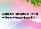 如何养乌龟,这四点很重要（怎么养一只乌龟 养乌龟的6个注意事项）