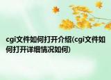 cgi文件如何打开介绍(cgi文件如何打开详细情况如何)