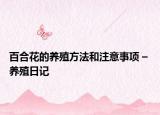 百合花的养殖方法和注意事项 – 养殖日记