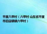 平度八甲村（六甲村 山东省平度市旧店镇镇六甲村）