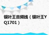 银叶王音频线（银叶王YQ1701）