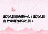 聿怎么读拼音是什么（聿怎么读音 杜聿明的聿怎么拼）