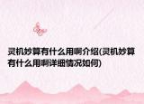灵机妙算有什么用啊介绍(灵机妙算有什么用啊详细情况如何)