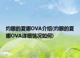 灼眼的夏娜OVA介绍(灼眼的夏娜OVA详细情况如何)