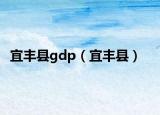 宜丰县gdp（宜丰县）