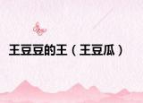 王豆豆的王（王豆瓜）