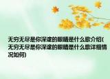 无穷无尽是你深邃的眼睛是什么歌介绍(无穷无尽是你深邃的眼睛是什么歌详细情况如何)