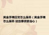 黄金手镯日常怎么保养（黄金手镯怎么保养 这些事项要当心）