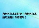 自制苏打水的好处（自制苏打水的方法有什么危害吗）