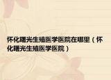 怀化曙光生殖医学医院在哪里（怀化曙光生殖医学医院）