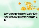 如何快速获取我的世界枯萎的骷髅头如何快速获得我的世界枯萎的头骨