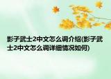 影子武士2中文怎么调介绍(影子武士2中文怎么调详细情况如何)