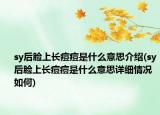 sy后脸上长痘痘是什么意思介绍(sy后脸上长痘痘是什么意思详细情况如何)