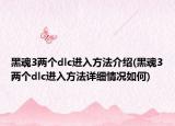 黑魂3两个dlc进入方法介绍(黑魂3两个dlc进入方法详细情况如何)
