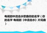 电视剧中流击水歌曲你的名字（你的名字 电视剧《中流击水》片尾曲）
