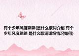 有个少年风度翩翩(是什么歌词介绍 有个少年风度翩翩 是什么歌词详细情况如何)
