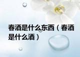 春酒是什么东西（春酒是什么酒）