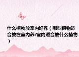什么植物放室内好养（哪些植物适合放在室内养?室内适合放什么植物）