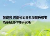 张晓芳 云南省农业科学院热带亚热带经济作物研究所