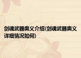 剑魂武器奥义介绍(剑魂武器奥义详细情况如何)