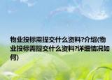 物业投标需提交什么资料?介绍(物业投标需提交什么资料?详细情况如何)