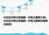 杜拉拉升职记电视剧一共有几集啊介绍(杜拉拉升职记电视剧一共有几集啊详细情况如何)