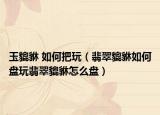 玉貔貅 如何把玩（翡翠貔貅如何盘玩翡翠貔貅怎么盘）