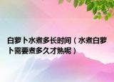 白萝卜水煮多长时间（水煮白萝卜需要煮多久才熟呢）
