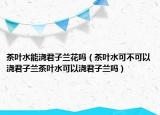 茶叶水能浇君子兰花吗（茶叶水可不可以浇君子兰茶叶水可以浇君子兰吗）