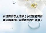 水缸青苔怎么清除（水缸里的青苔如何清理水缸里的青苔怎么清理）