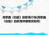 找歌曲《白狐》的歌词介绍(找歌曲《白狐》的歌词详细情况如何)