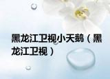 黑龙江卫视小天鹅（黑龙江卫视）
