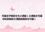 可爱名字昵称女生小清新（小清新女可爱 好听的昵称小清新的昵称女可爱）