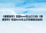 《像素地牢》各层boss怎么打介绍(《像素地牢》各层boss怎么打详细情况如何)